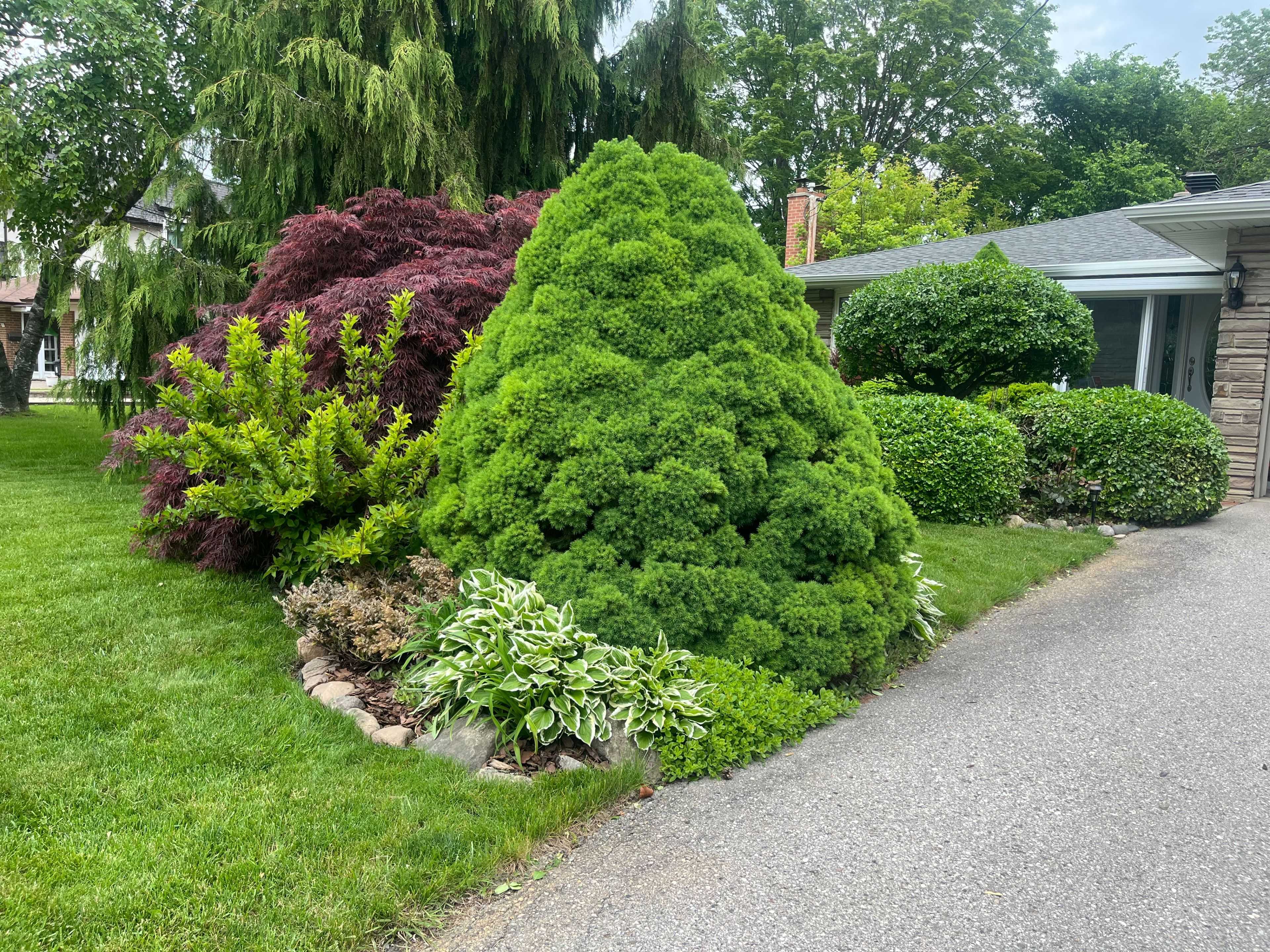 Toronto C14, ON M2M 2B8,32 Revcoe DR