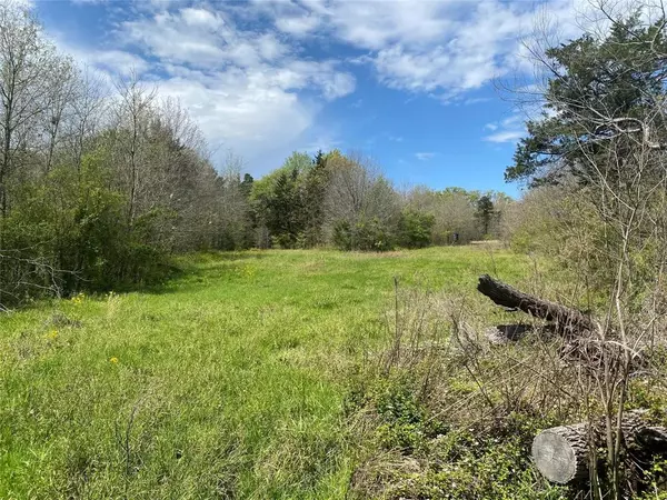 Bogata, TX 75417,none CR1131