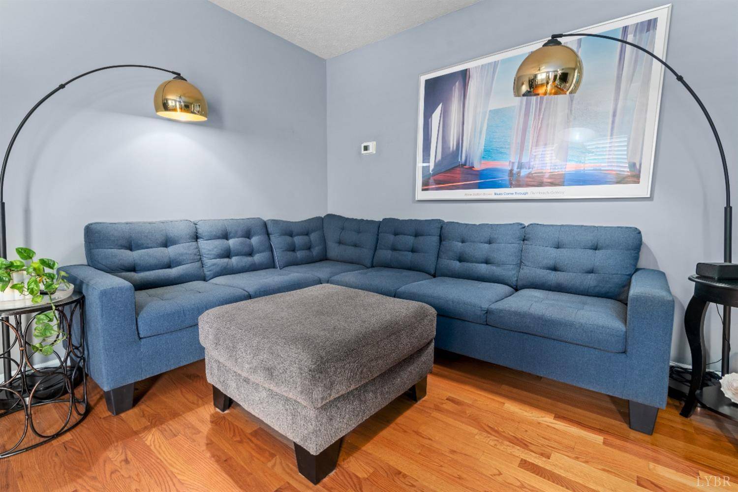 Forest, VA 24551,1064 Blue Ridge View CIR