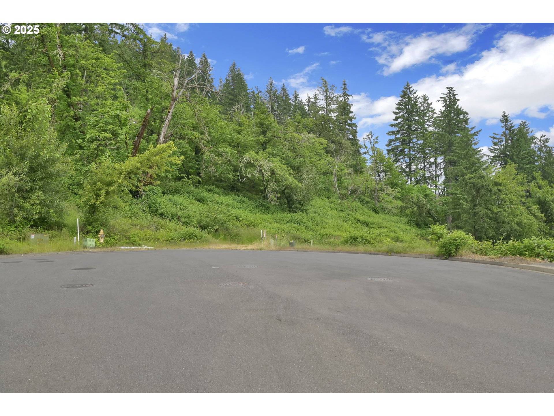 Springfield, OR 97478,Forest Ridge Dr