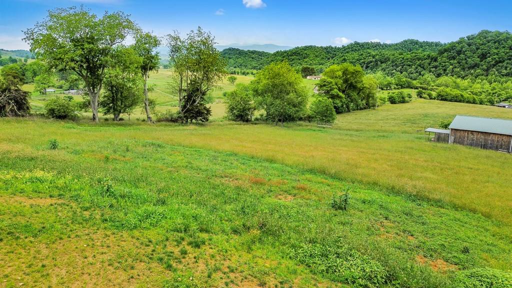 Meadowview, VA 24361,29429 Isaac Ln
