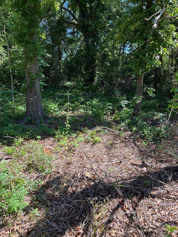 Mineola, TX 75773,0000 FM 1801