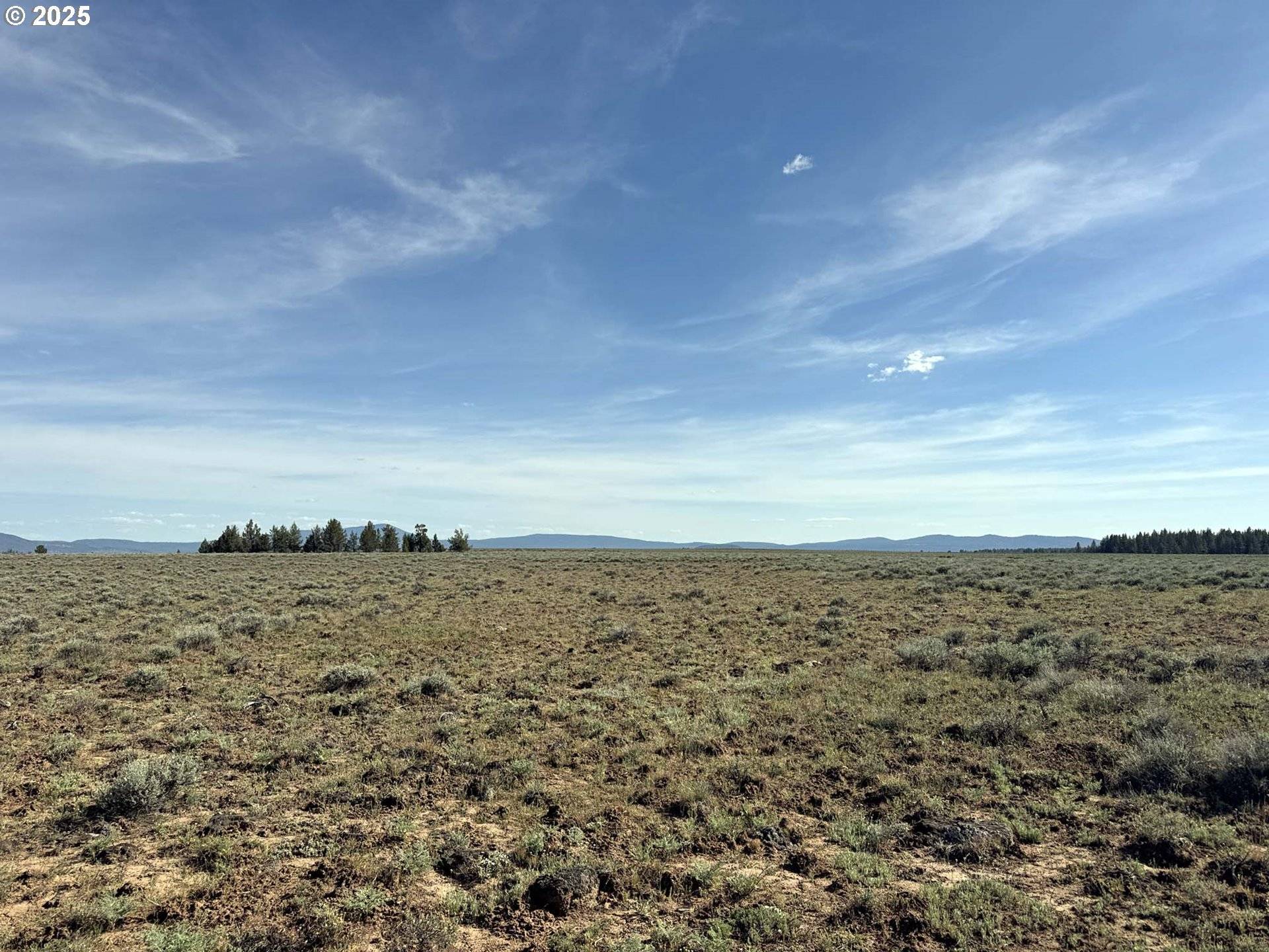 Beatty, OR 97621,Oregon Pines Road #TL 2000