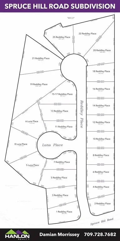 8 Reddley Place, Conception Bay South, NL A1W 5P3