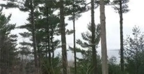 130 Nippissing Ridge RD, Tiny, ON L9M 0H6