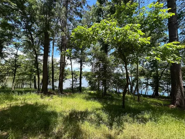 Frankston, TX 75763,Lot TR 5B Stevenson Rd