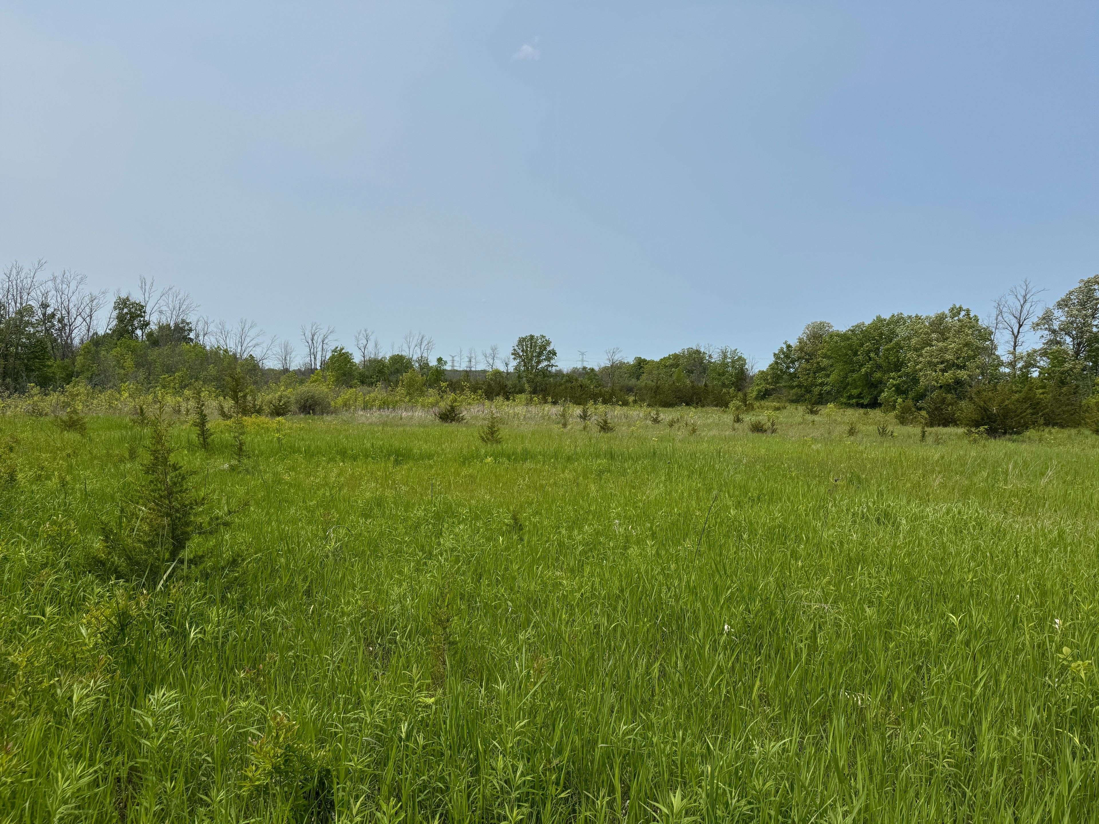 Belleville, ON K0K 1V0,0 Brennan RD