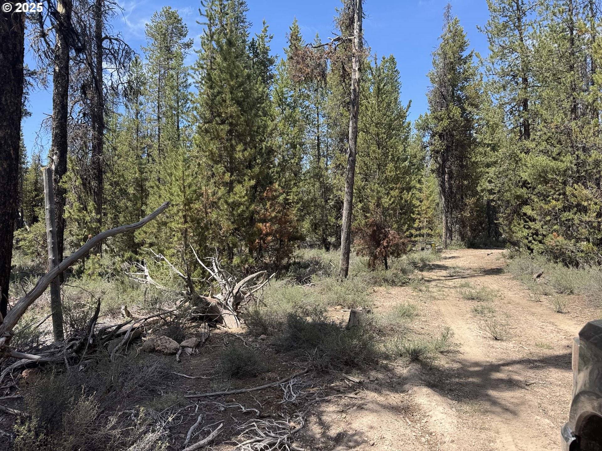 Chemult, OR 97731,Bear Flat Road #3200
