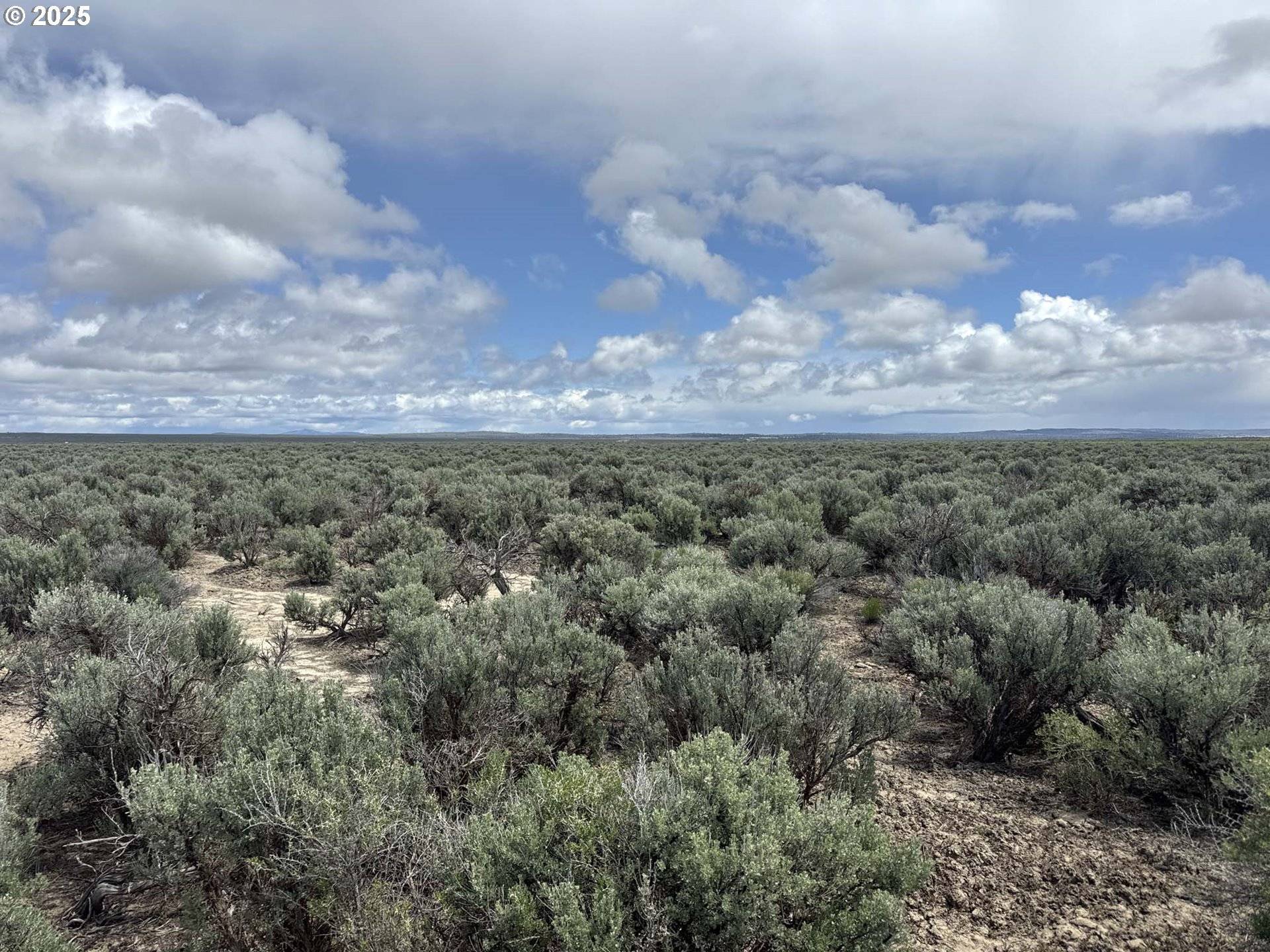 Christmas Valley, OR 97641,Lost Forest Lane #5600