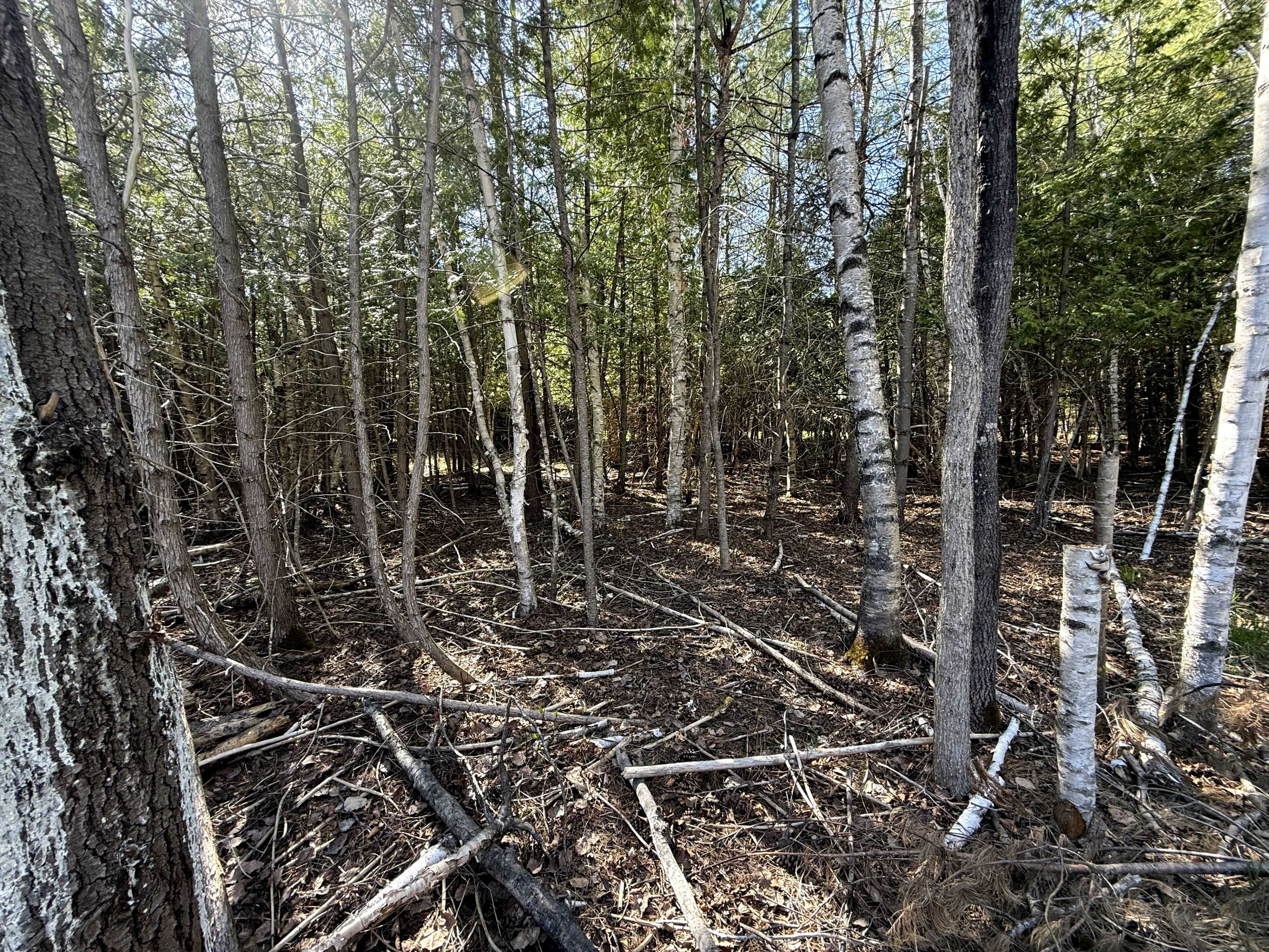 Lanark Highlands, ON K0G 1K0,Lot 3 Watsons Corners RD