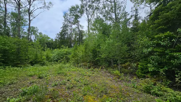 PT LT 35 Con 3 WBR Hardwick Cove RD, Northern Bruce Peninsula, ON N0H 1W0