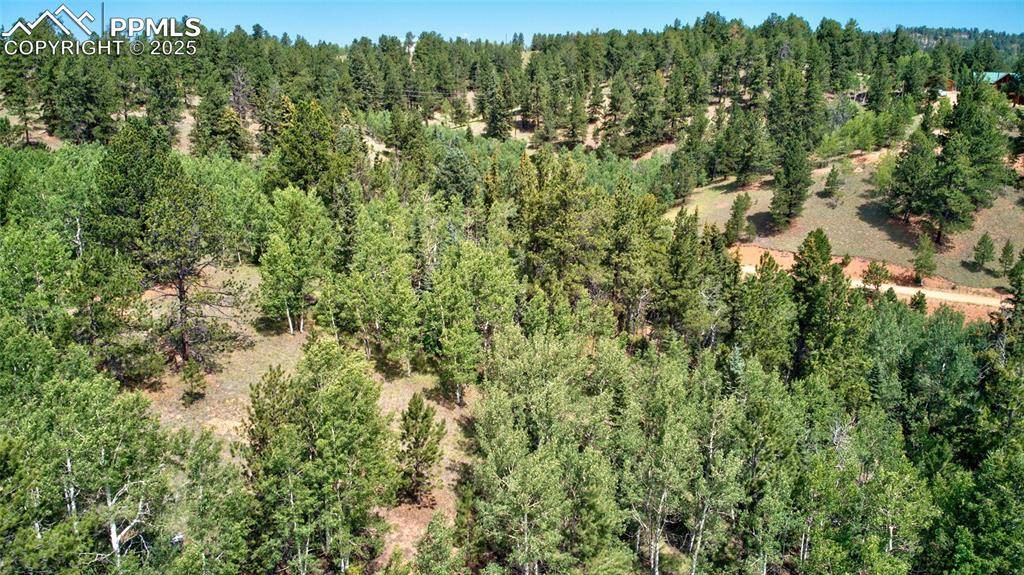 Cripple Creek, CO 80813,158 Rattler CT