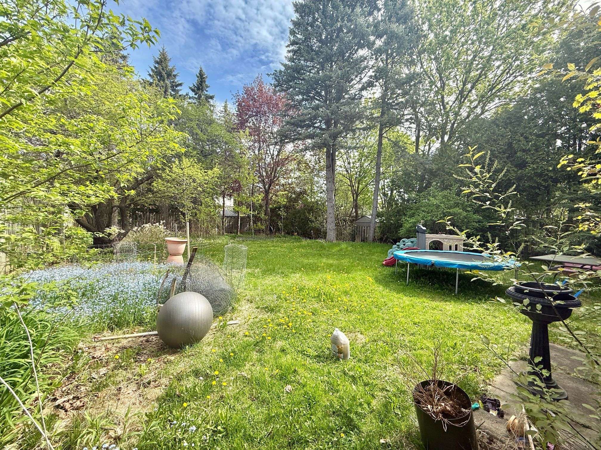 Newmarket, ON L3Y 6E4,505 London RD