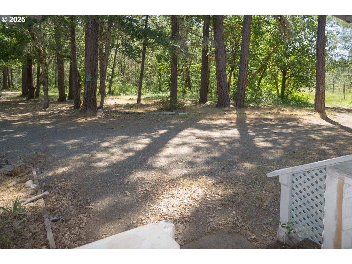 Cave Junction, OR 97523,Address not disclosed