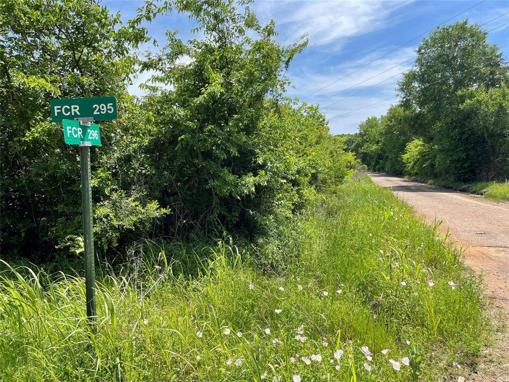 Oakwood, TX 75855,Tract 10 FCR 295