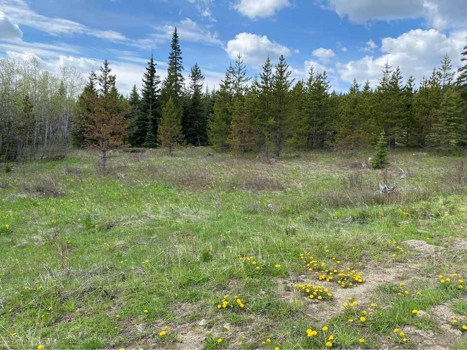 Rural Cardston County, AB T0K0K0,LOT #1