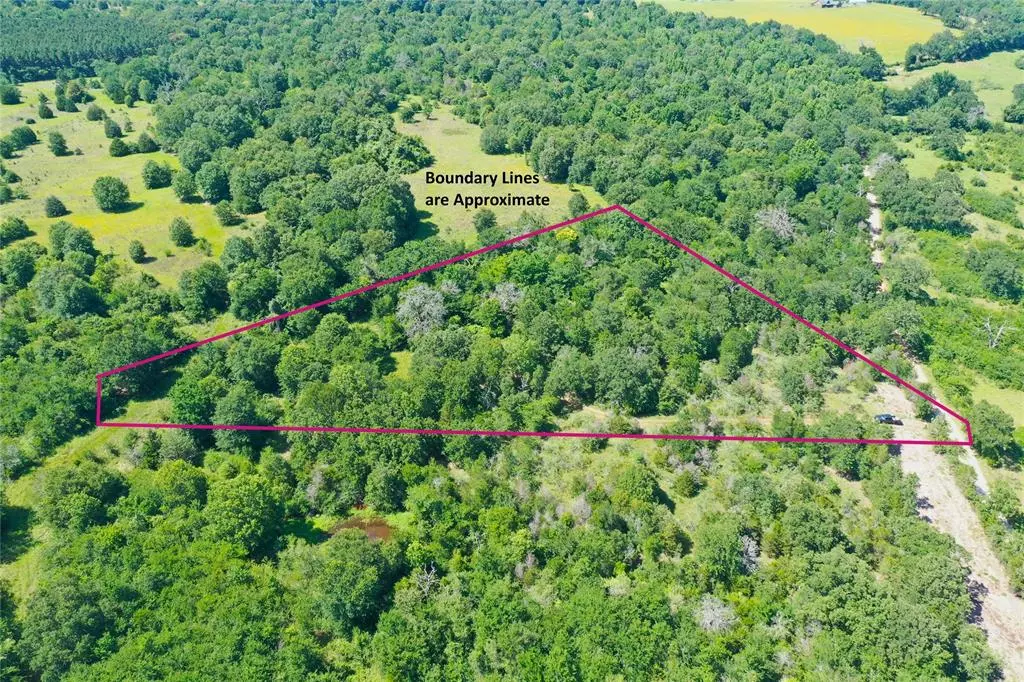 Oakwood, TX 75855,Tract 10 FCR 295