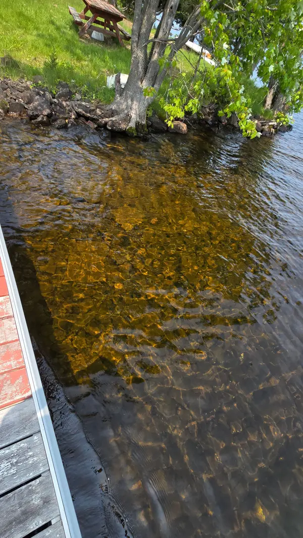 Havelock-belmont-methuen, ON K0L 1Z0,280 Big Island N/A