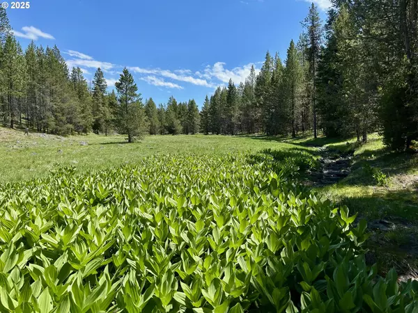 La Grande, OR 97850,Upper Rock Creek