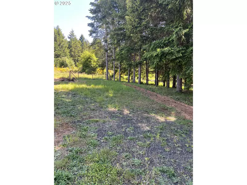 863 C ST, Elkton, OR 97436