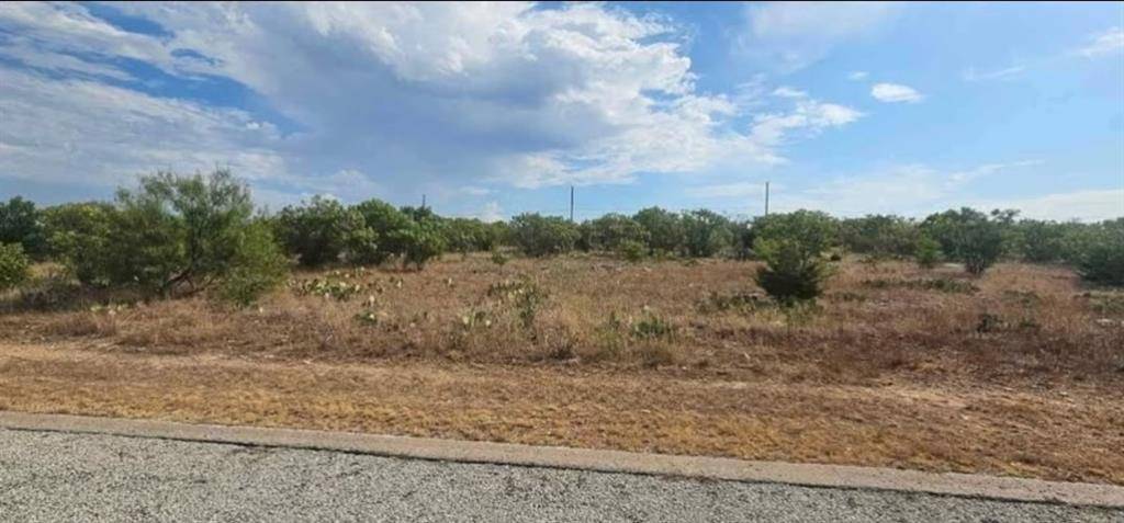 Graford, TX 76449,170 Poppy Hills Drive