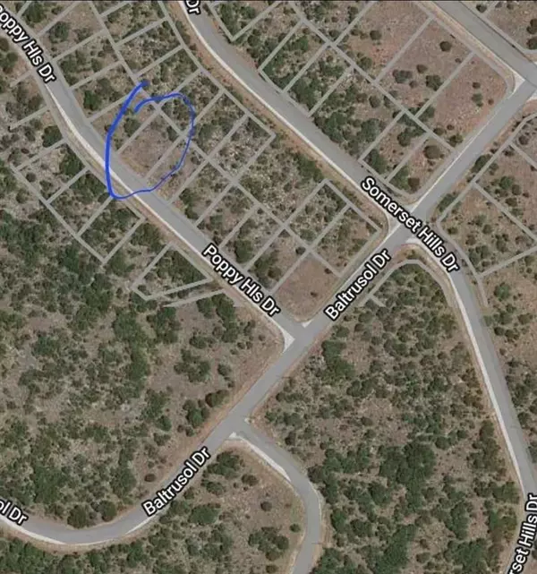 Graford, TX 76449,170 Poppy Hills Drive