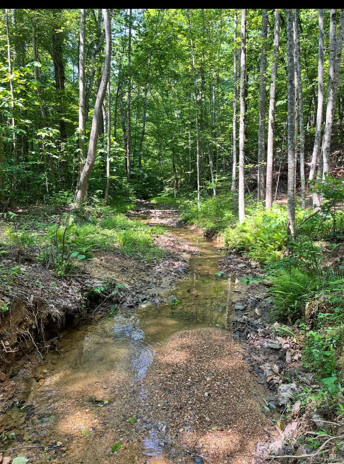 Amherst, VA 24521,0 Christian Mill Creek Rd.