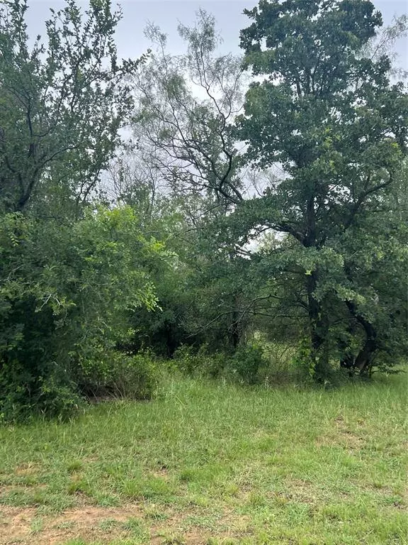 Jacksboro, TX 76458,951 fm3324 hearn lane