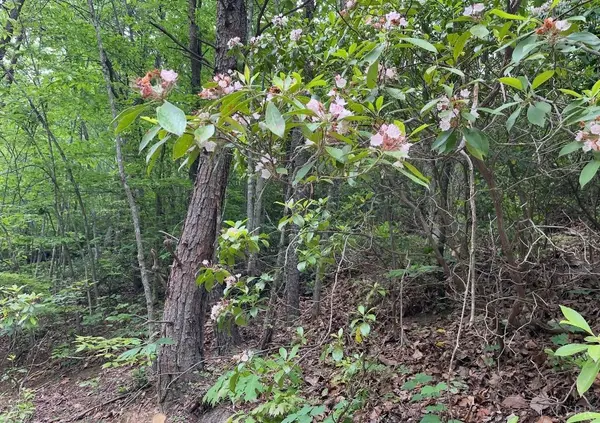 Amherst, VA 24521,0 Christian Mill Creek Rd.