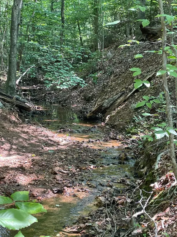 Amherst, VA 24521,0 Christian Mill Creek Rd.