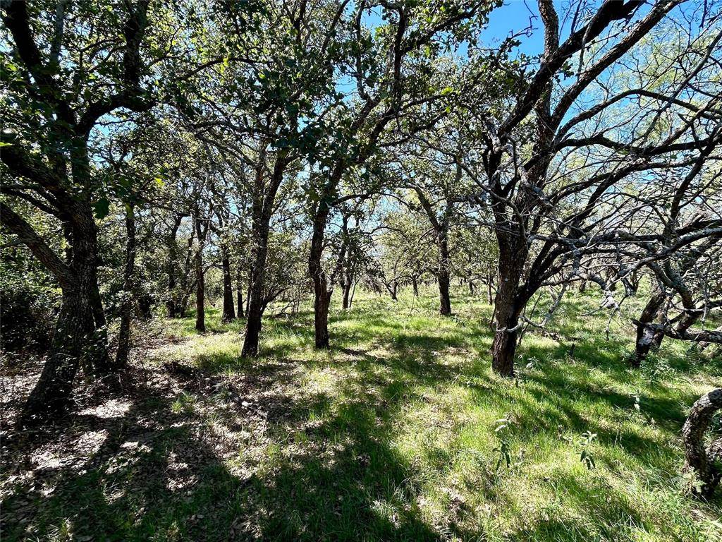 Rising Star, TX 76857,TBD CR 131