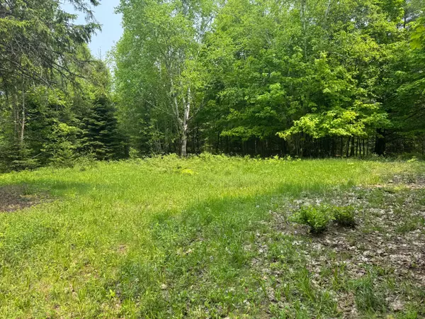 Minden Hills, ON K0M 2K0,1897 Blairhampton RD