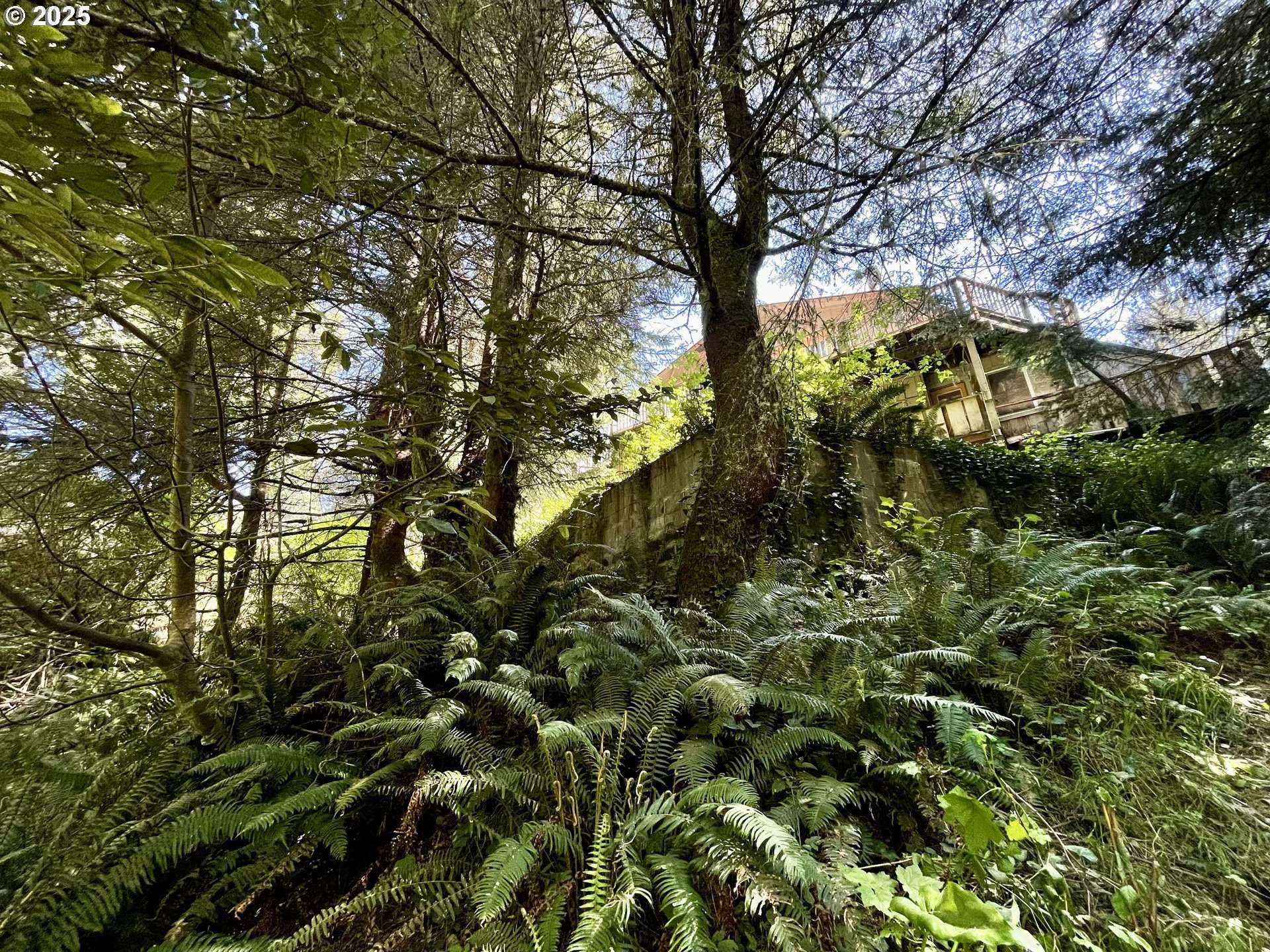Brookings, OR 97415,95629 CAPE FERRELO RD