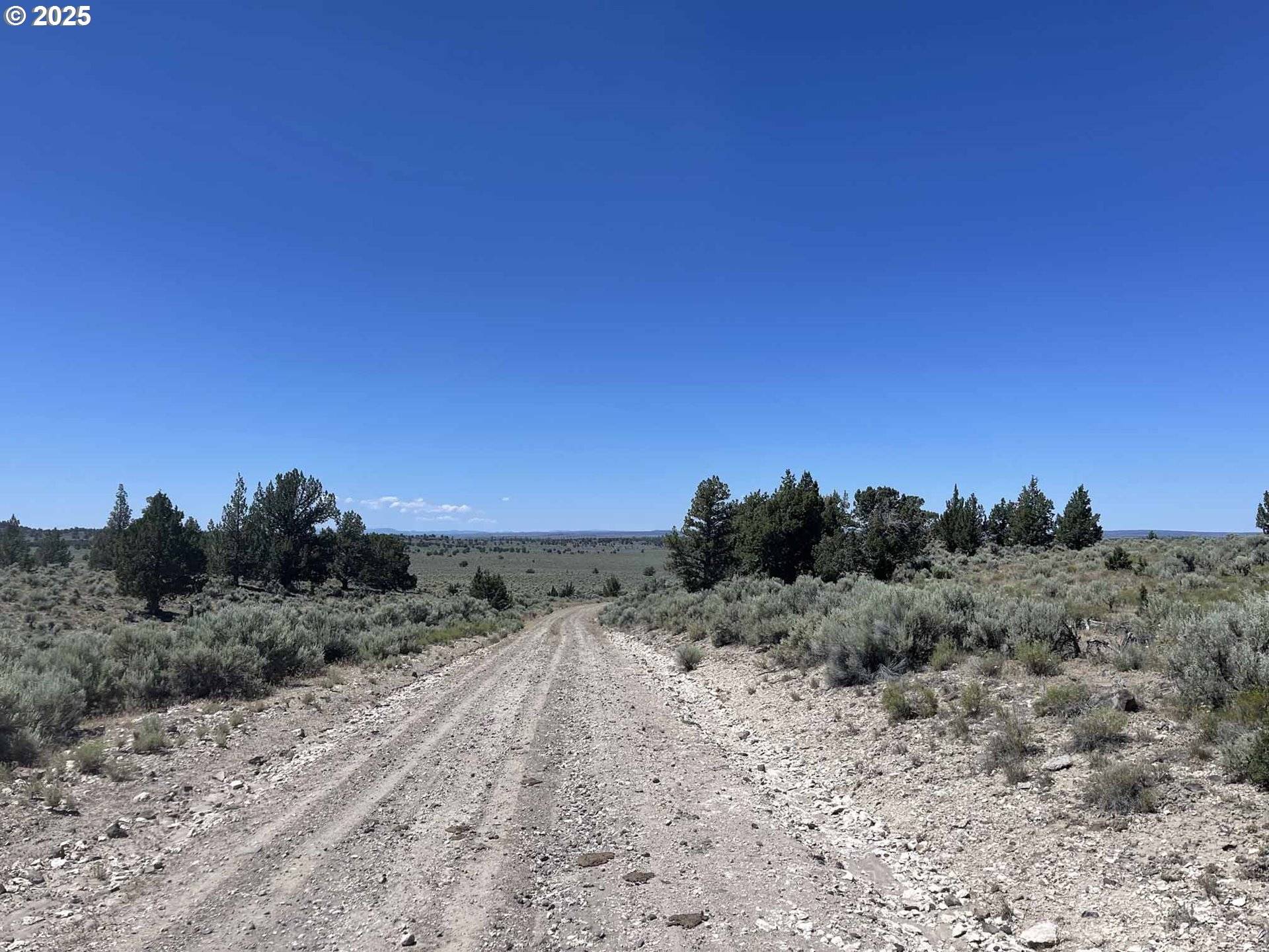 Christmas Valley, OR 97641,Benjamin Lake Road #L 502