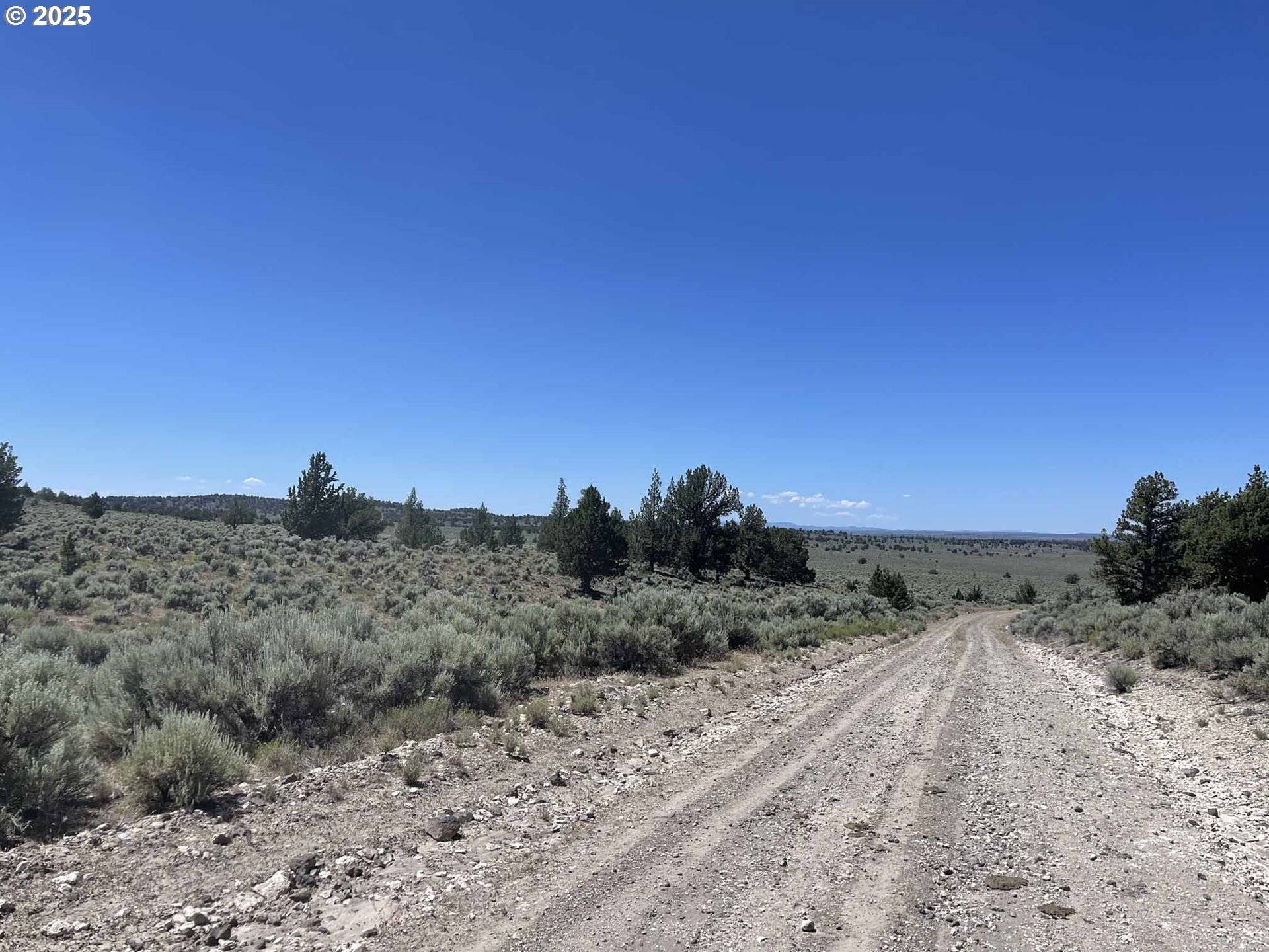 Christmas Valley, OR 97641,Benjamin Lake Road #L 502