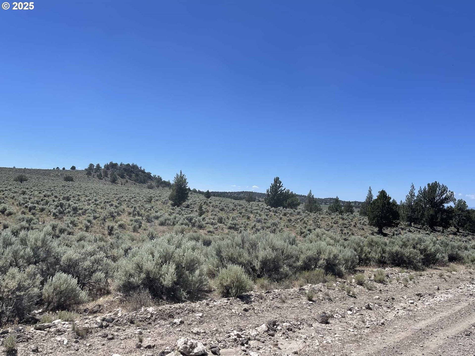 Christmas Valley, OR 97641,Benjamin Lake Road #L 502
