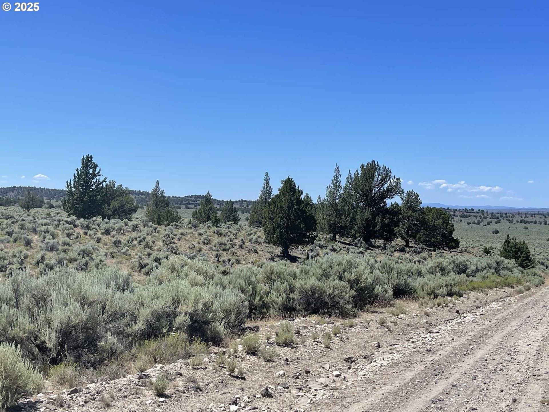 Christmas Valley, OR 97641,Benjamin Lake Road #L 502