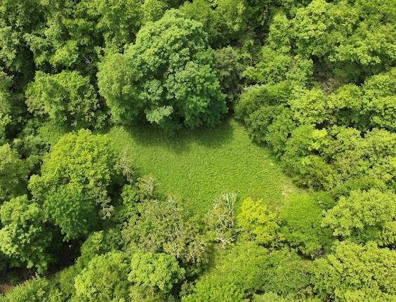 TBD Buffalow Hollow Road, Castlewood, VA 24224