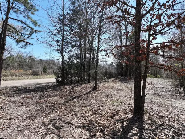 Mount Pleasant, TX 75455,803 CR 1780