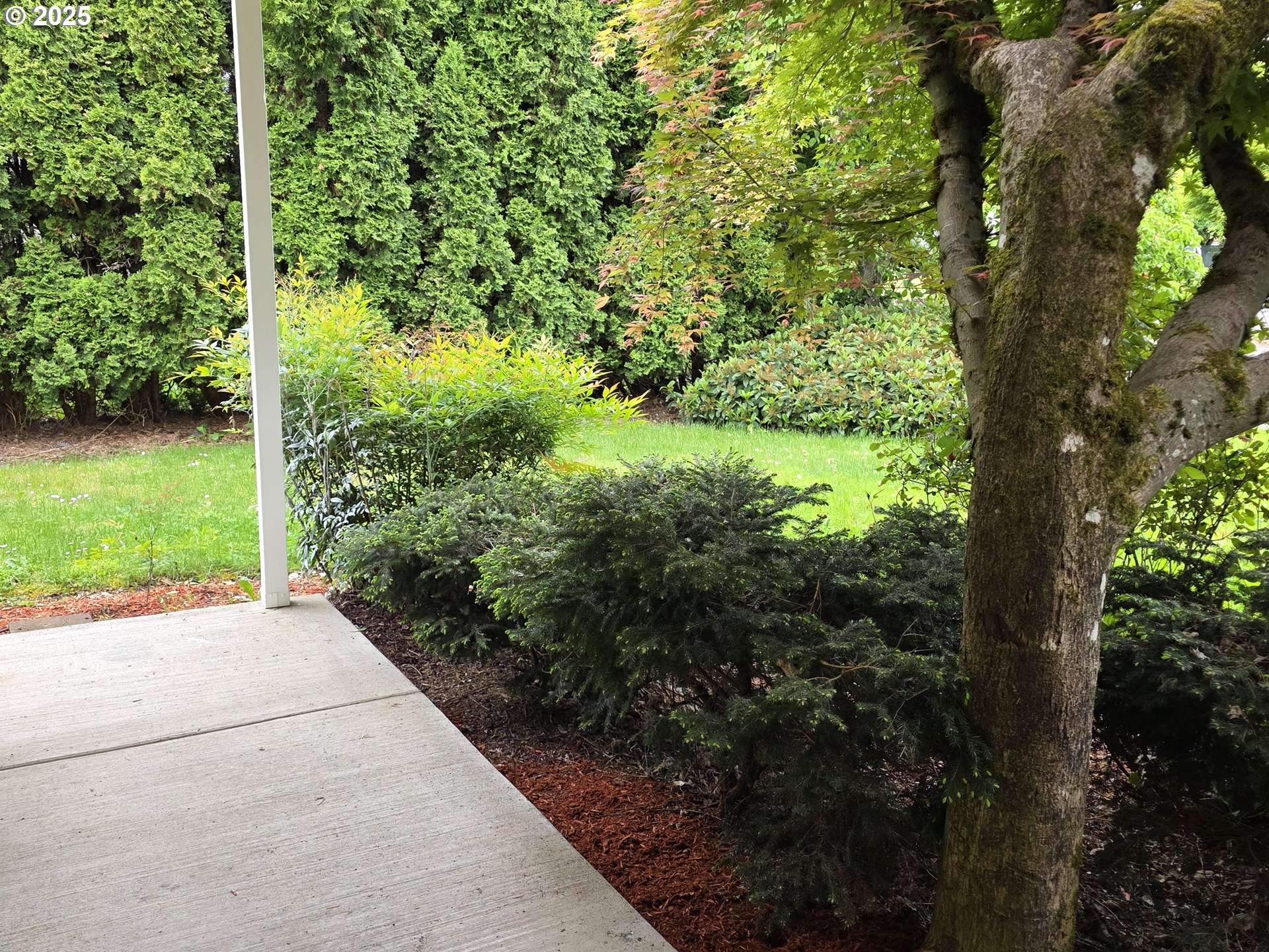 Vancouver, WA 98682,15503 NE 84TH ST