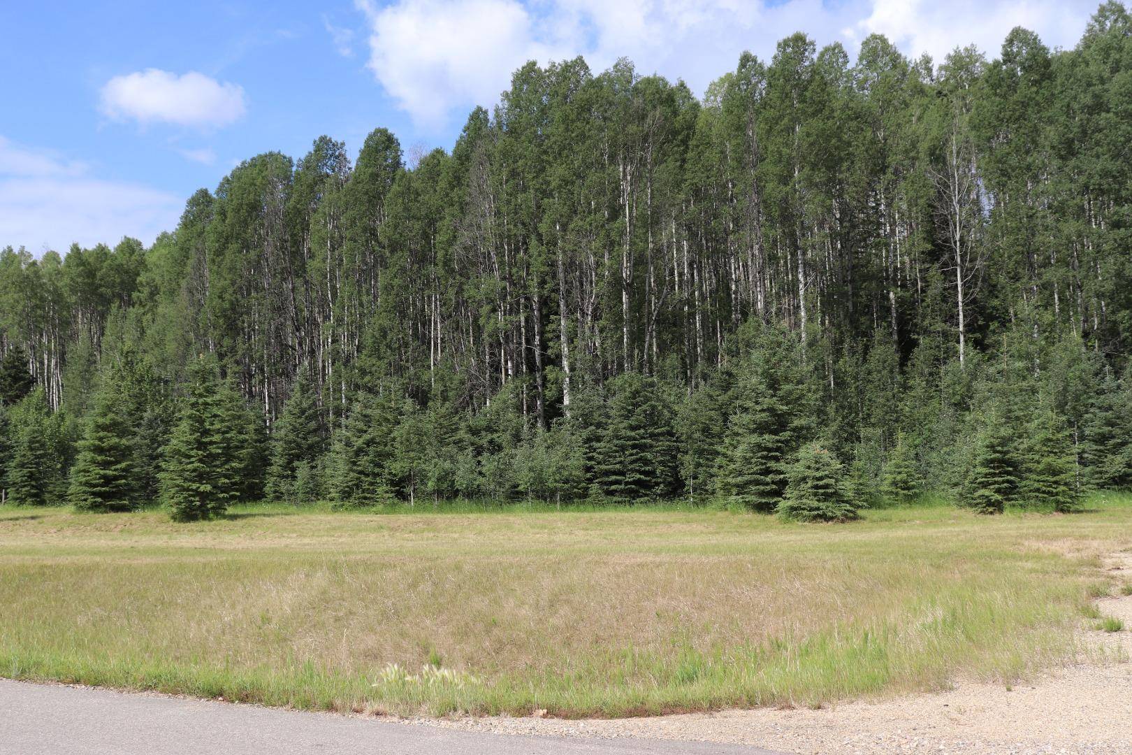 Rural Yellowhead County, AB T7E 3A6,165111 Township Road 532A Subdivision #24