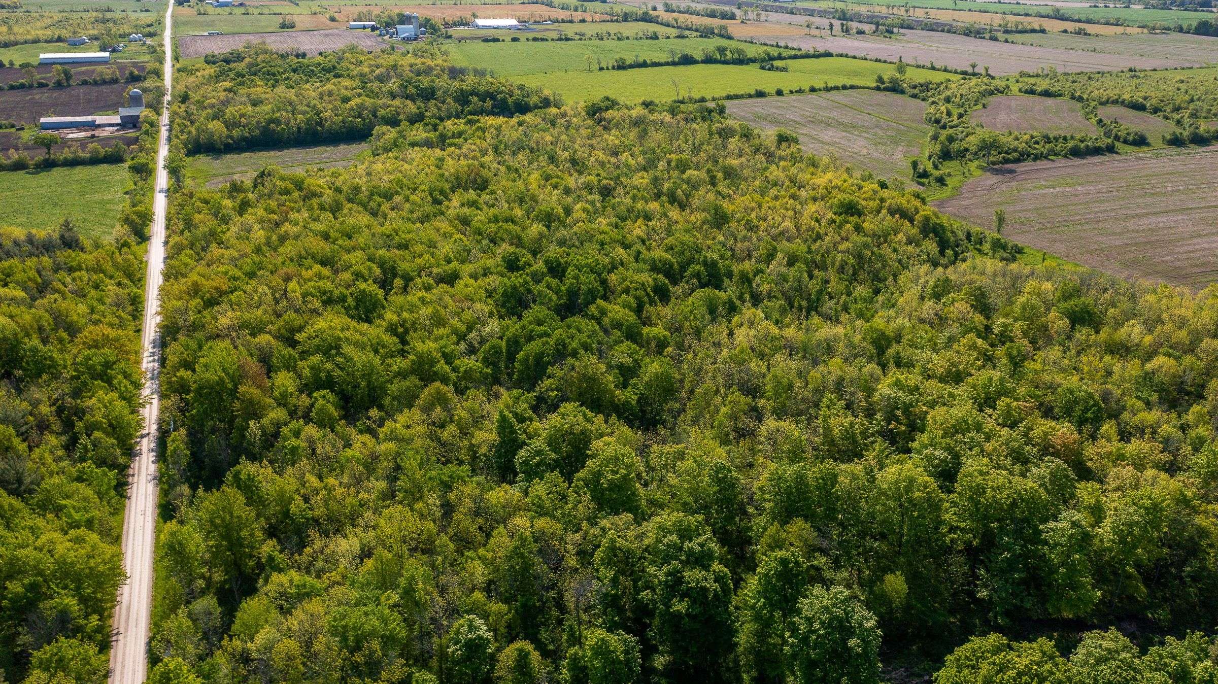 Meaford, ON N0H 1B0,E 1/2 LT 29-30 CON 4; Sideroad 30 N/A
