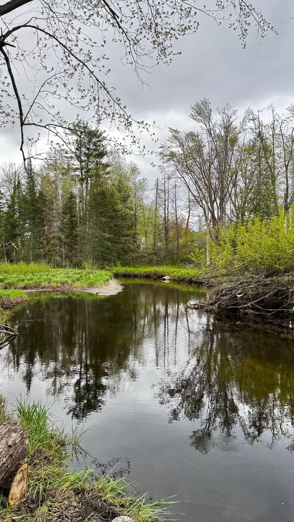 North Kawartha, ON K0L 2H0,2348 Northeys Bay RD
