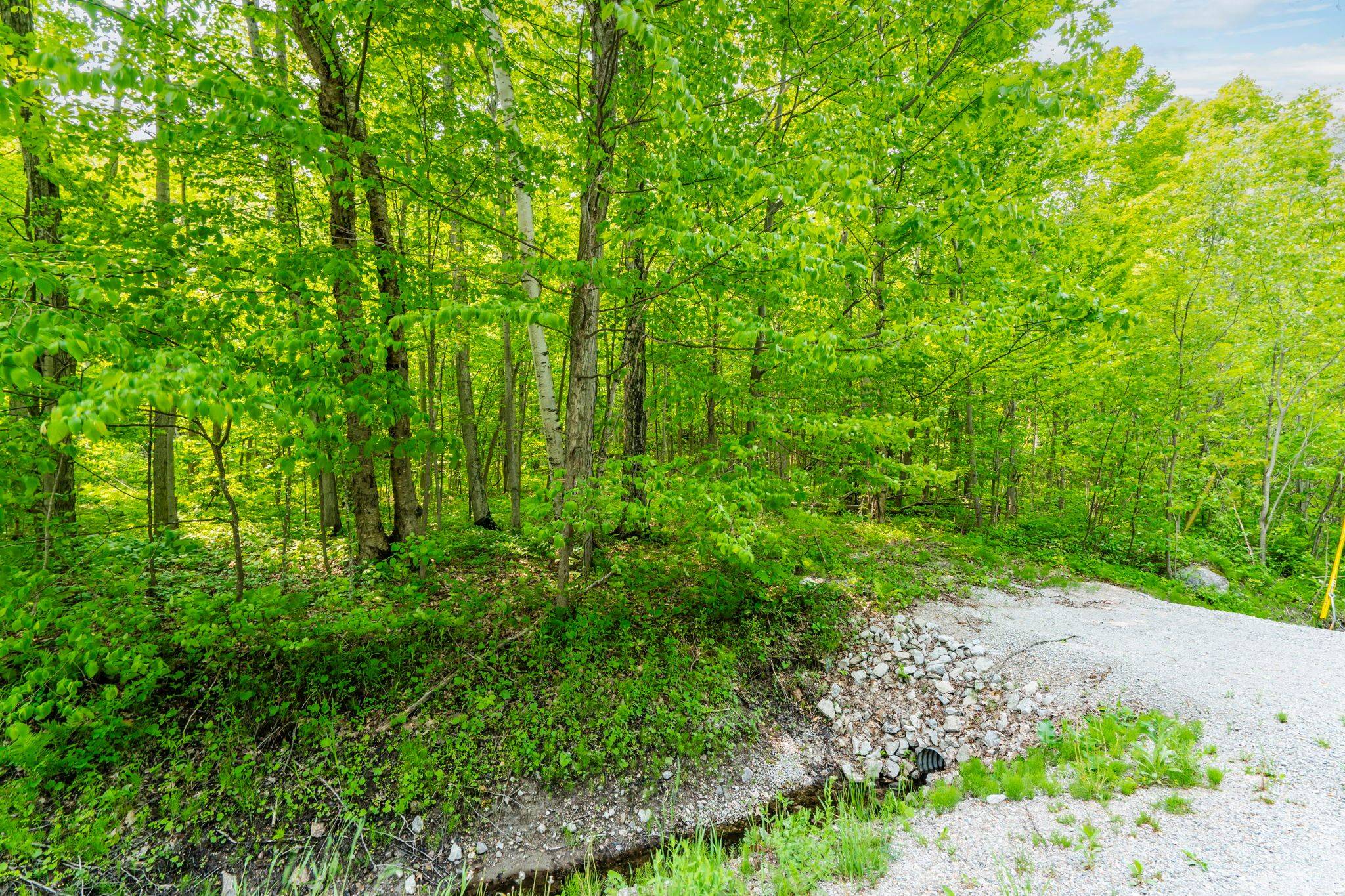 Tiny, ON L9M 0C1,Lot  22 Champlain RD