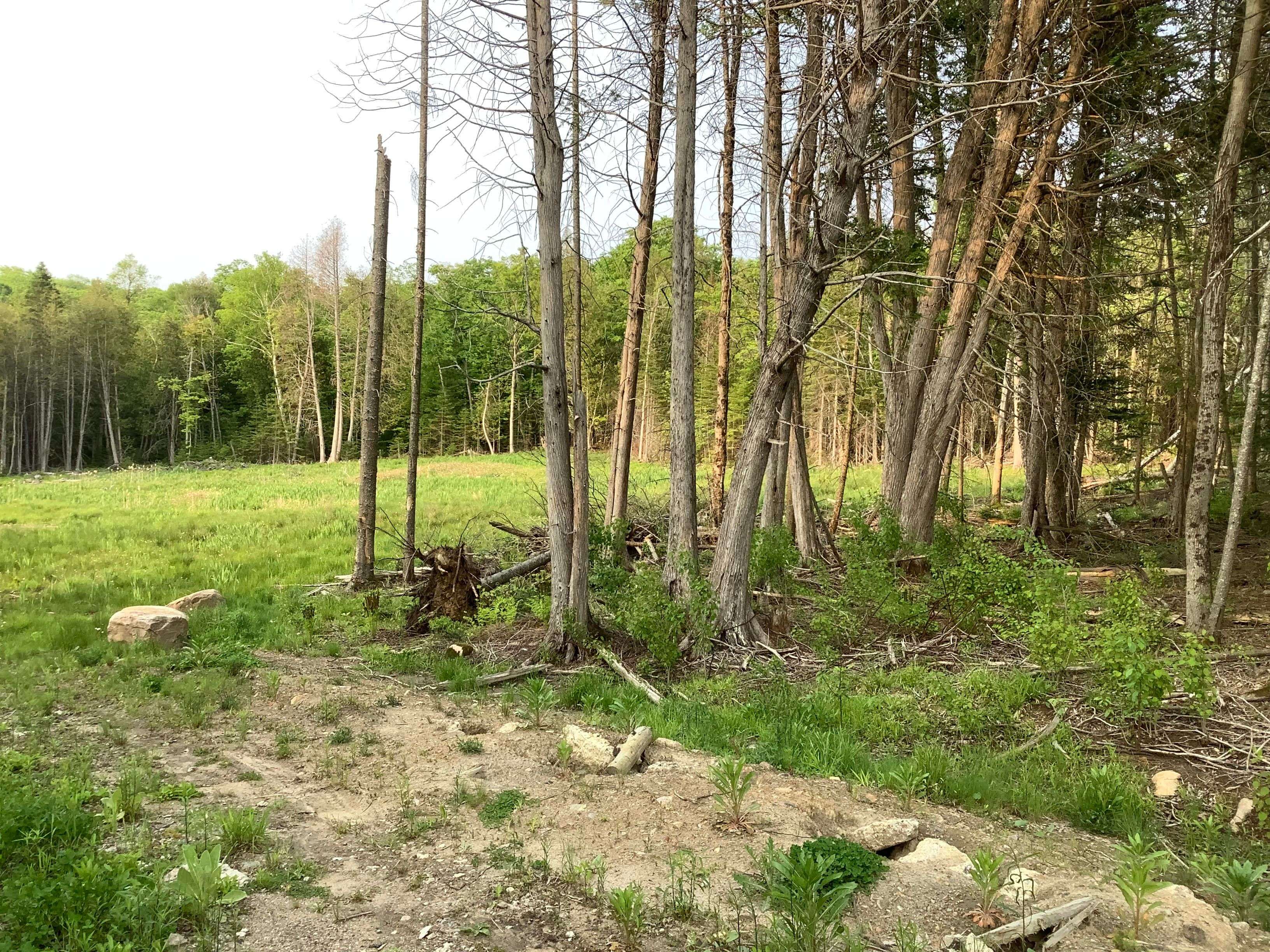 Highlands East, ON K0L 3C0,20833 Hwy 118 N/A