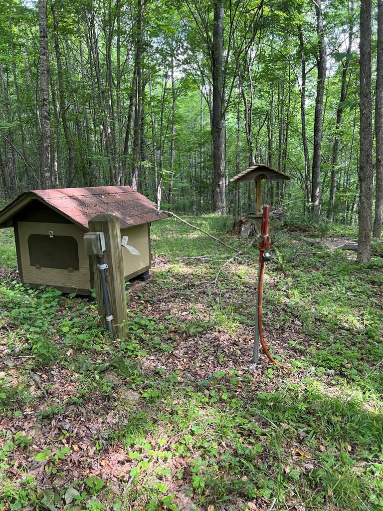 Laurel Fork, VA 24352,TBD High Mountain Trail