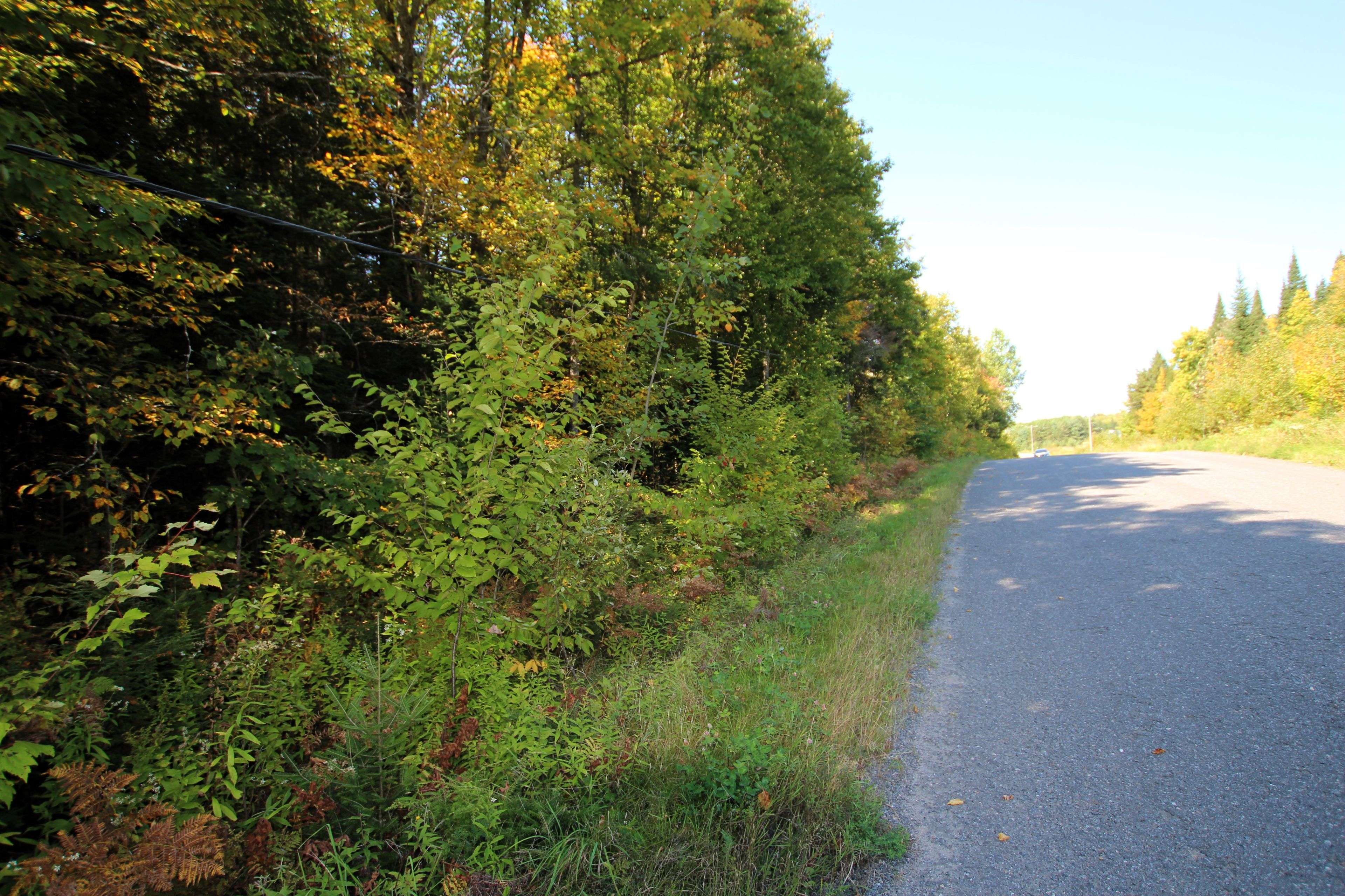 Parry Sound Remote Area, ON P0H 1S0,0 Lover's LN