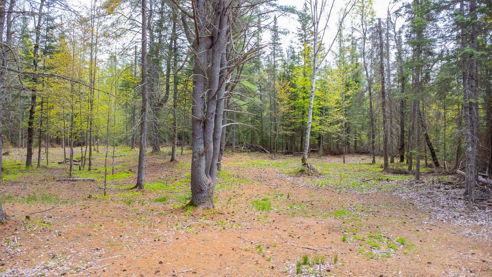 Dysart Et Al, ON K0M 1S0,PT11-12 HALIBURTON LAKE RD