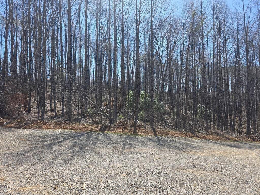 Laurel Fork, VA 24352,TBD Red Roof Lane