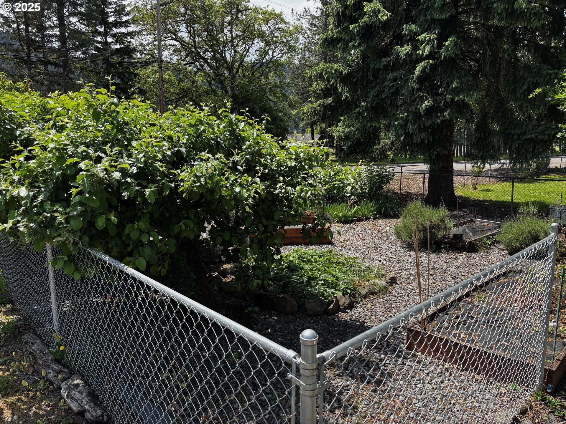 Oakridge, OR 97463,47947 COMMERCIAL ST